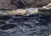 Salmon River John Singer Sargent